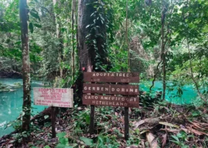 Destinasi wisata Danau Nyandeng di Kampung Merabu, Kelay. (IST)
