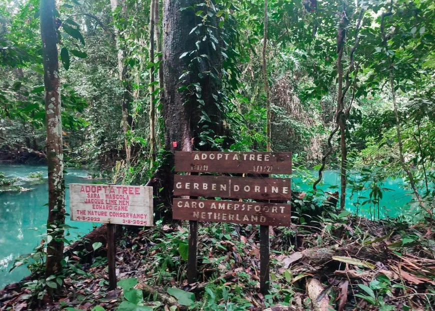 Destinasi wisata Danau Nyandeng di Kampung Merabu, Kelay. (IST)