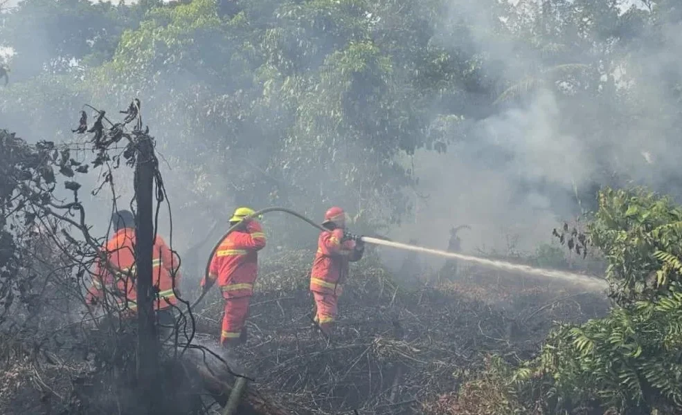 Petugas Pemadam Kebakaran dari BPBD Berau saat melakukan pemadaman Karhutla.