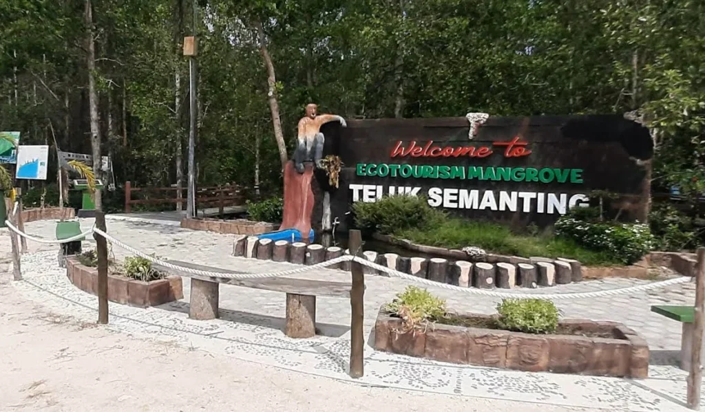 Ekowisata mangrove di Teluk Semanting, Kecamatan Pulau Derawan.