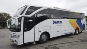 Ilustrasi Bus Damri.