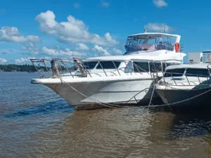 Speedboat Kaltara