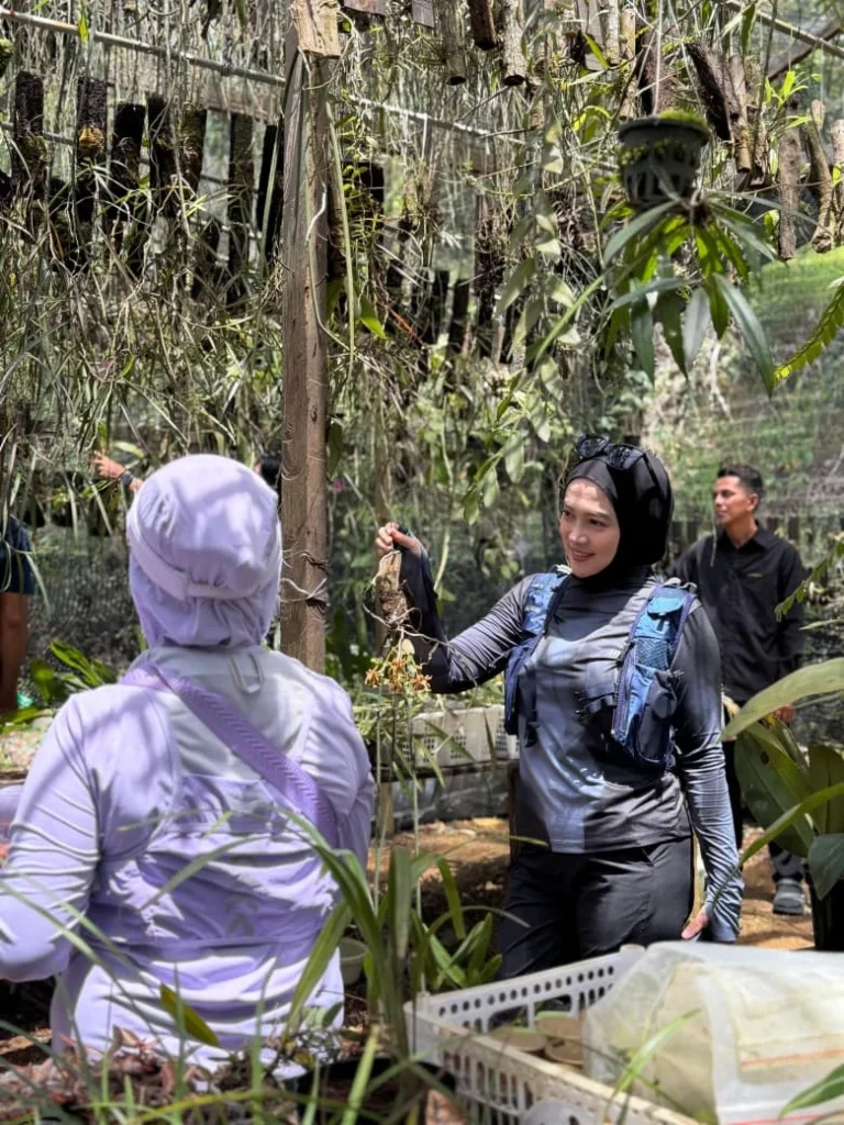 Disbudpar Berau saat mengunjungi hutan anggrek dan Bukit Ruaban Kampung Tubaan. (IST)
