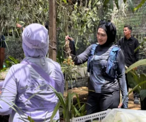 Disbudpar Berau saat mengunjungi hutan anggrek dan Bukit Ruaban Kampung Tubaan. (IST)