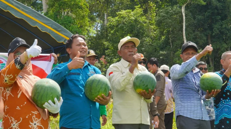 Kampung Dumaring, Talisayan