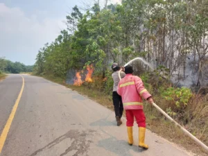 Karhutla Berau Kaltim