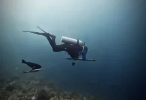 Aksi perburuan ikan menggunakan speargun yang dilakukan wisatawan di Pulau Maratua, beberapa waktu lalu.